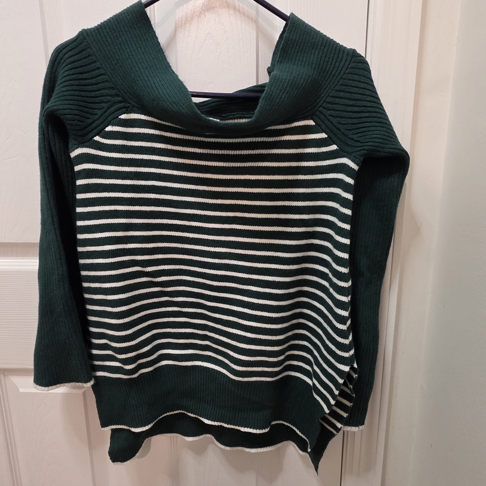 Entro Forest Green and Cream Striped Turtleneck Sweater